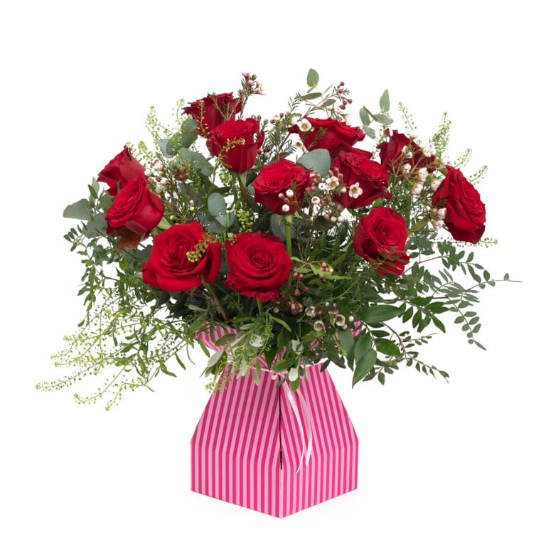 Roses in a pink striped cardboard vase, set against a simple white background, showcasing the vibrant blooms and stylish, modern packaging.
